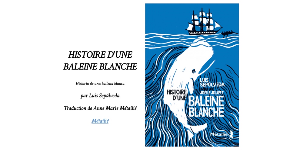 Calivrier 2019 jour 15 Histoire d'une baleine blanche